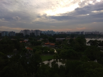 Top View of Chinese Garden from Padagon Tower